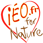 iéo